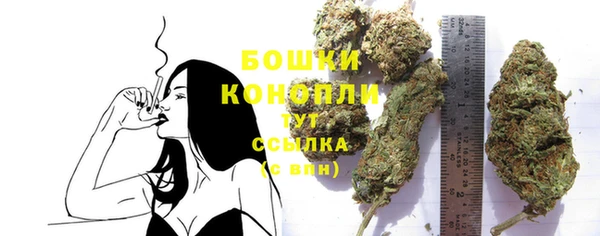 стафф Новокубанск