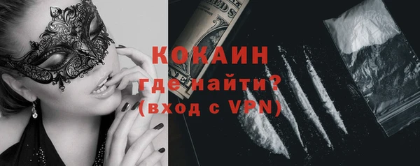 стафф Новокубанск