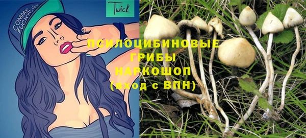 стафф Новокубанск