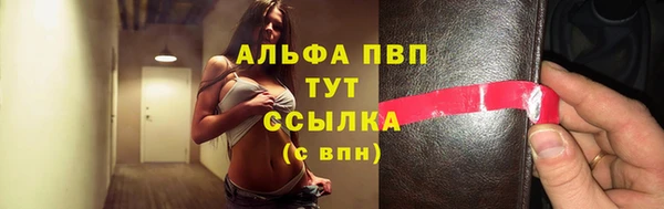 стафф Новокубанск