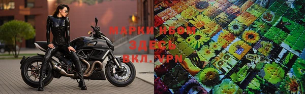 стафф Новокубанск