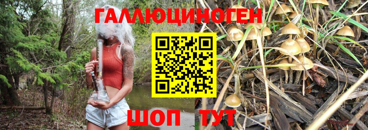 Псилоцибиновые грибы Cubensis  Галлюциногенные грибы Psilocybe  Волгоград 