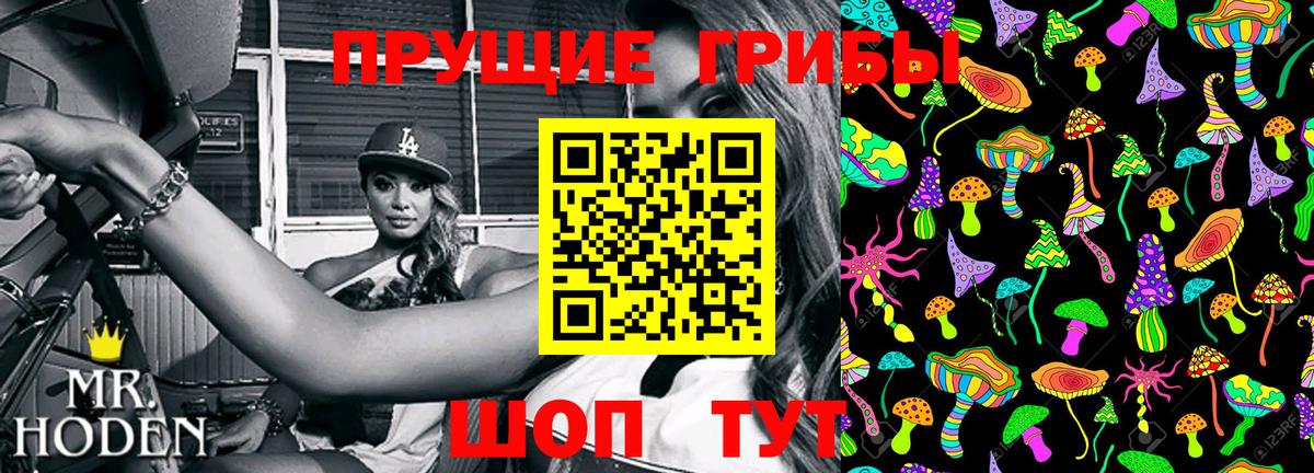 Галлюциногенные грибы Cubensis Волгоград