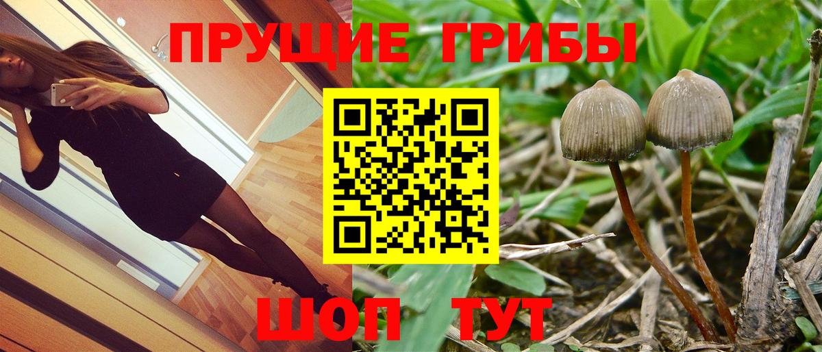 Псилоцибиновые грибы GOLDEN TEACHER  Вход с VPN  Волгоград 